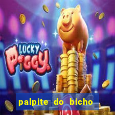 palpite do bicho deu no poste